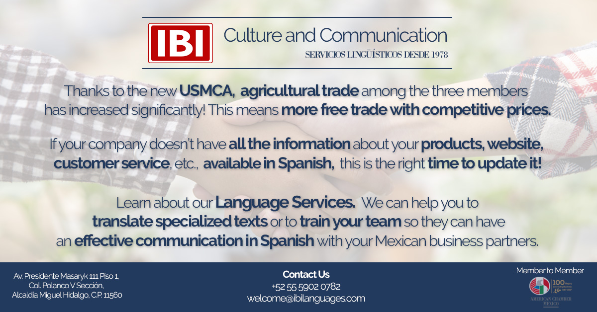 translation services